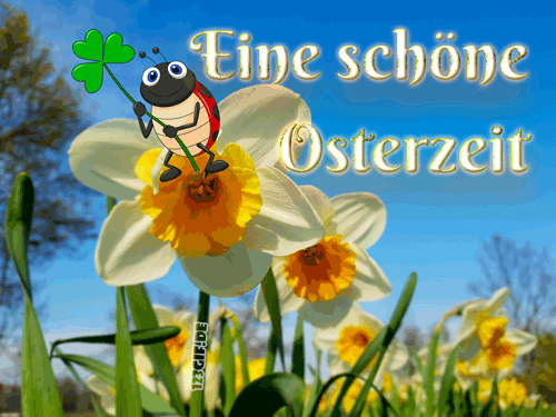 images/ostern.gif