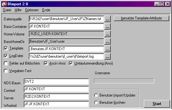 die GUI von BImport 