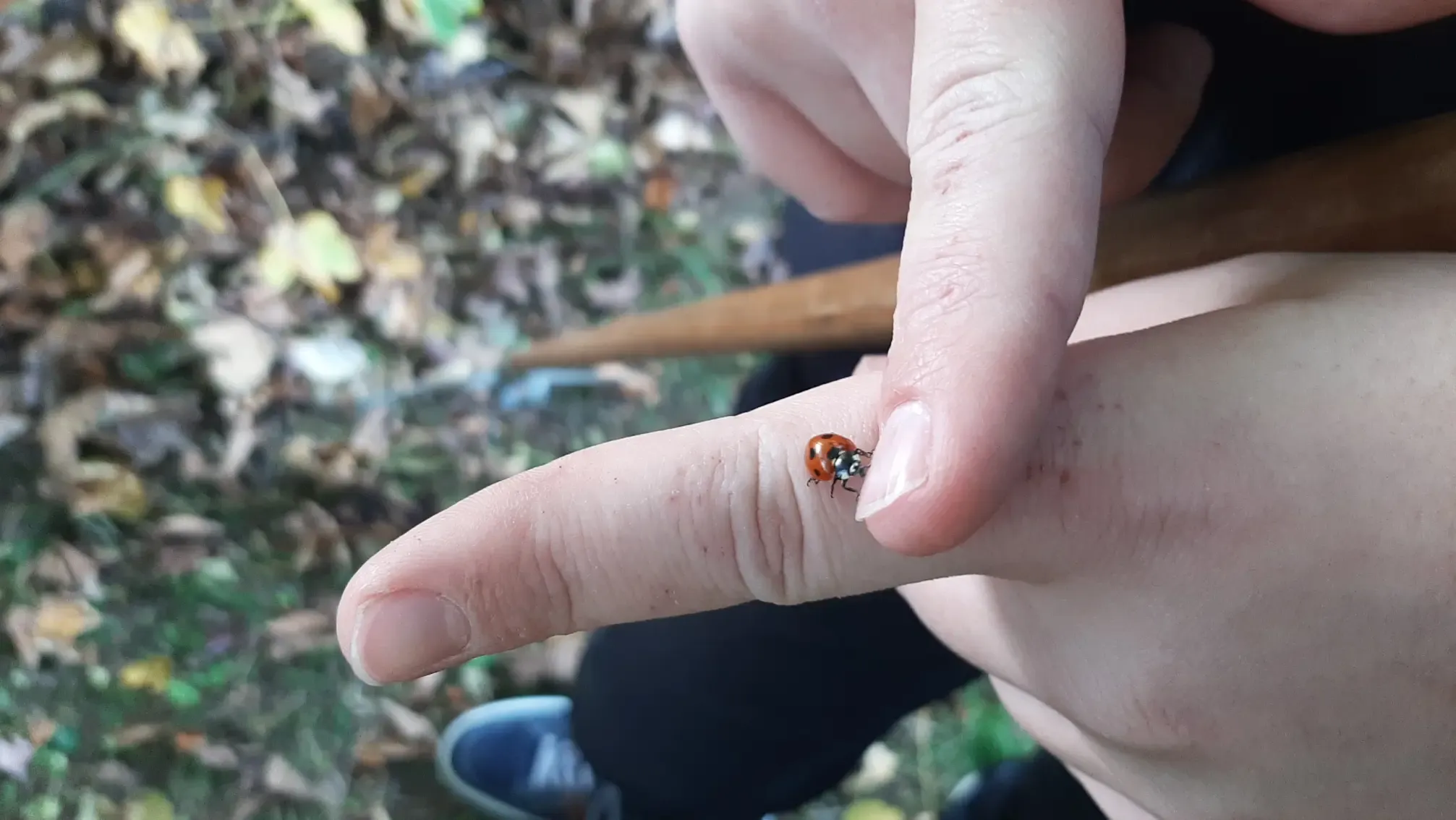 Projektwoche "Klima"