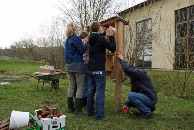 Oberstufenklasse baut Insektenhotel