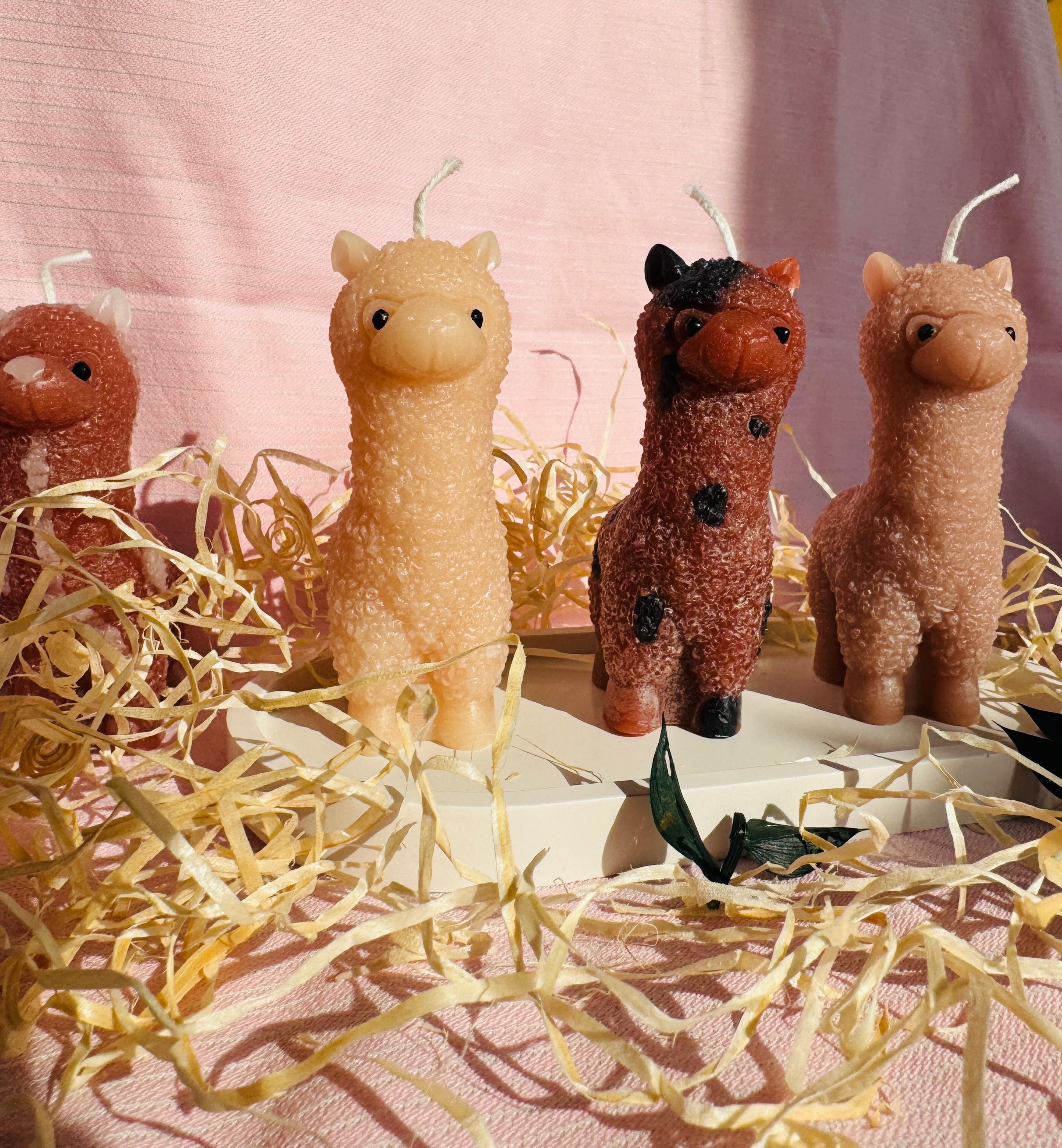 Weitere Kerzen, welche diesmal Llamas darstellen