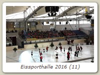 Eissporthalle 2016 (11)