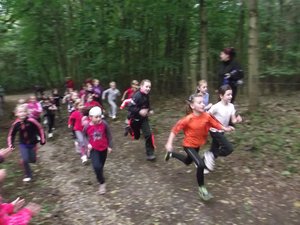 Herbstcrosslauf im Glaubitzer Wald