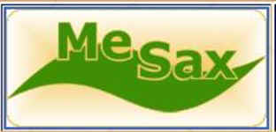 mesax.jpg (12199 Byte)
