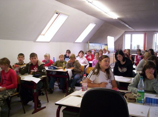mus19.JPG