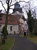 ltag10.jpg