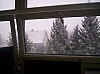 ost2.jpg