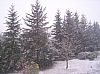ost4.jpg