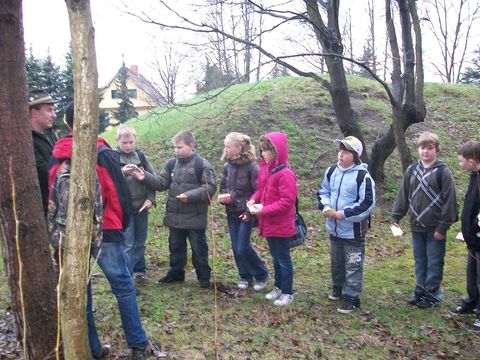 holz514.JPG
