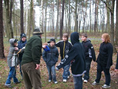 holz518.JPG