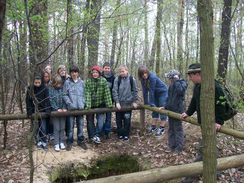 holz716.JPG