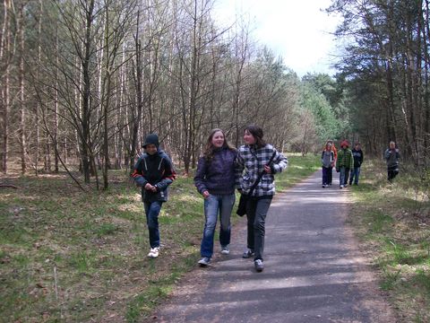 holz724.JPG