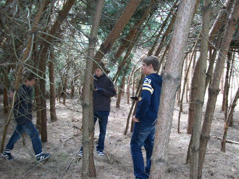 holz736.JPG