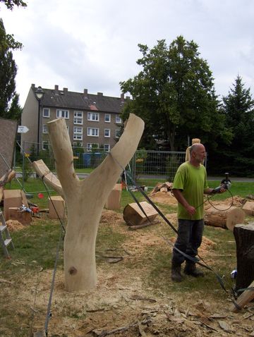 holzk256.jpg