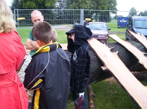 holzk6.JPG
