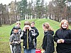 holz520.JPG