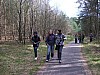 holz724.JPG