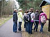 holz726.JPG