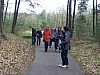 holz728.JPG