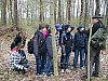 holz738.JPG