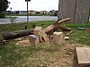 holzk250.jpg