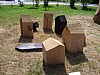 holzk252.jpg