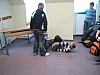 mobb16.jpg