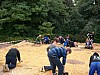 arch12.JPG