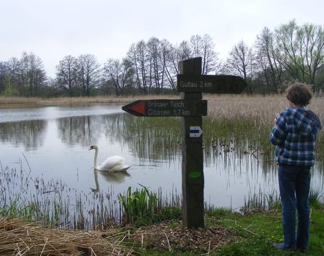 splager26.JPG