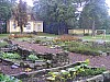 sprtag2_24.JPG