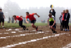 Sporttag