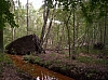 lpf03.JPG