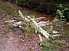 lpf06.JPG