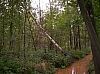 lpf07.JPG