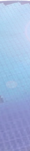 Wafer